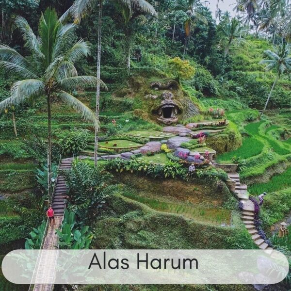 BALI 4 HARI 3 MALAM (ADVENTURE) - Image 3