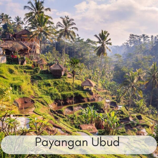 BALI 3 HARI 2 MALAM (ADVENTURE) - Image 6